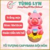 Tô Tượng Capybara Đội Nón